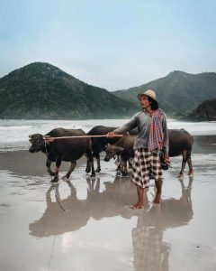 El lugar sigue siendo estéril y puedes invertir (Foto: Instagram@holidaylombok, 04/05/2026)